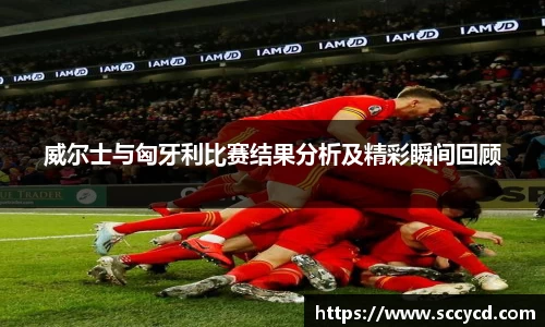 威尔士与匈牙利比赛结果分析及精彩瞬间回顾